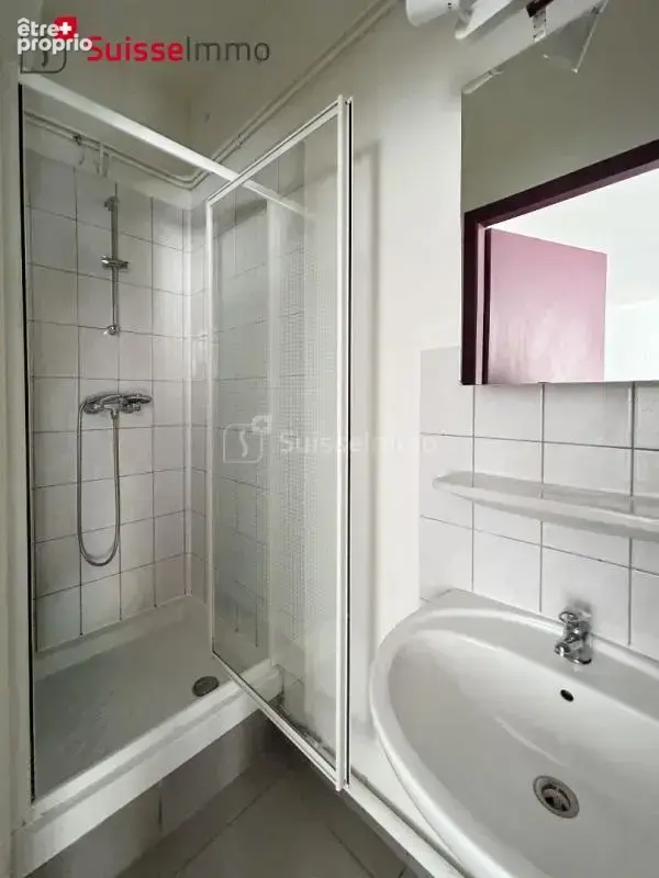 Appartement Sochaux 1 pièce(s) 29.1 m2 - photo 6