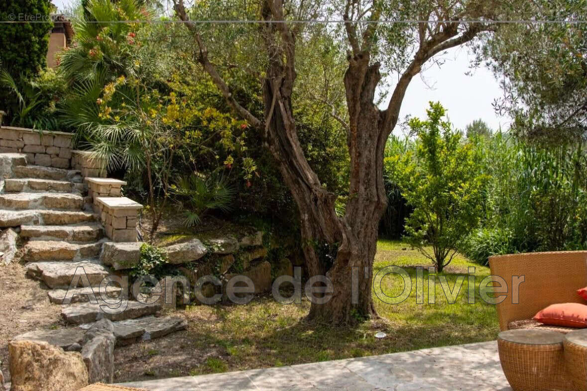 Maison 430 m² à Roquefort-Les-Pins  - photo 2