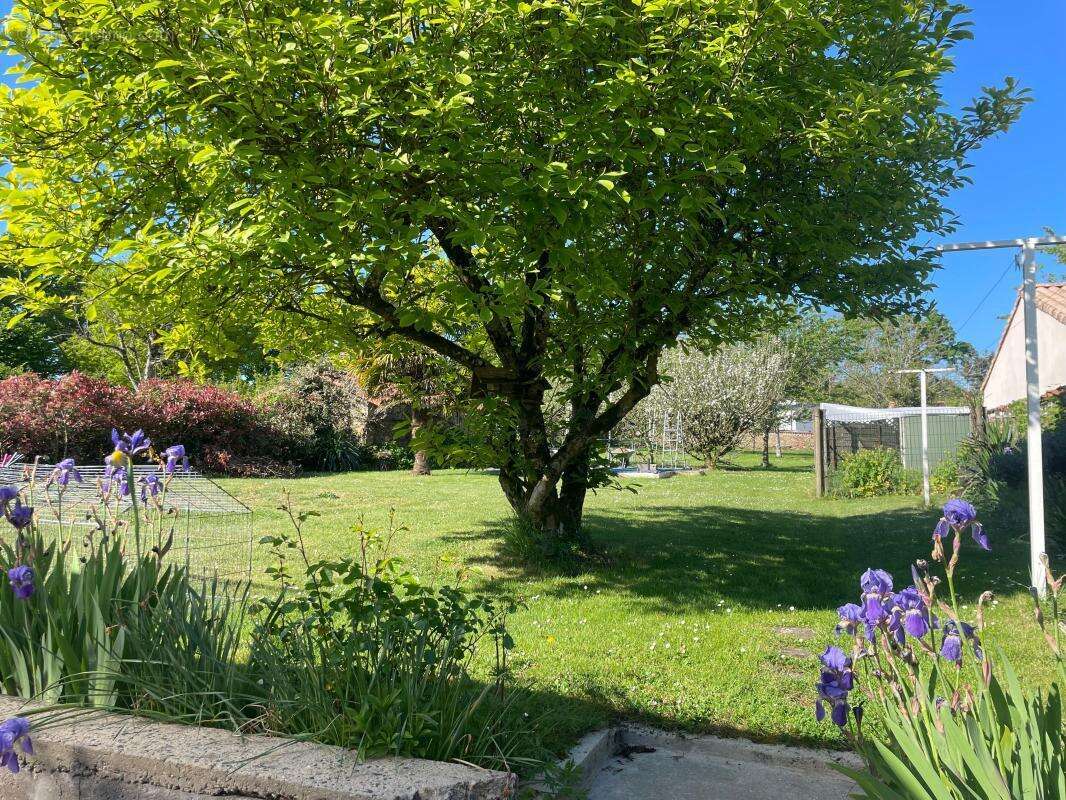 Maison à SAINT-DENIS-LA-CHEVASSE