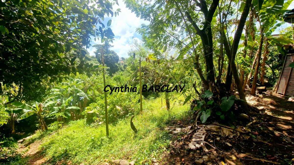 Terrain à FORT-DE-FRANCE