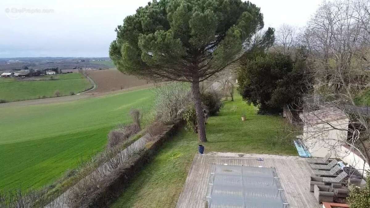 Terrain à SAUVETERRE