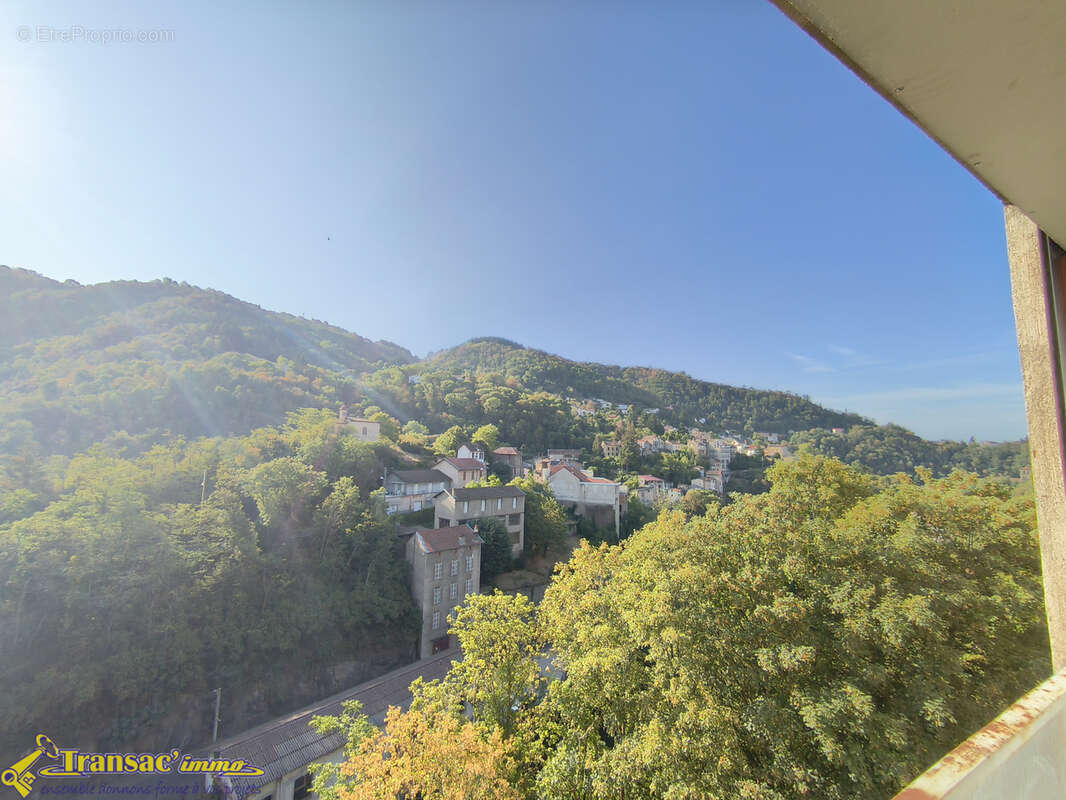 Haut de Thiers, appartement type F3 de 52m2 au RDC avec balcon et une cave. - photo 9
