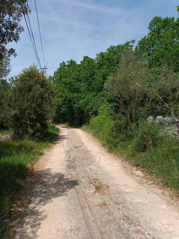 Terrain à TRANS-EN-PROVENCE