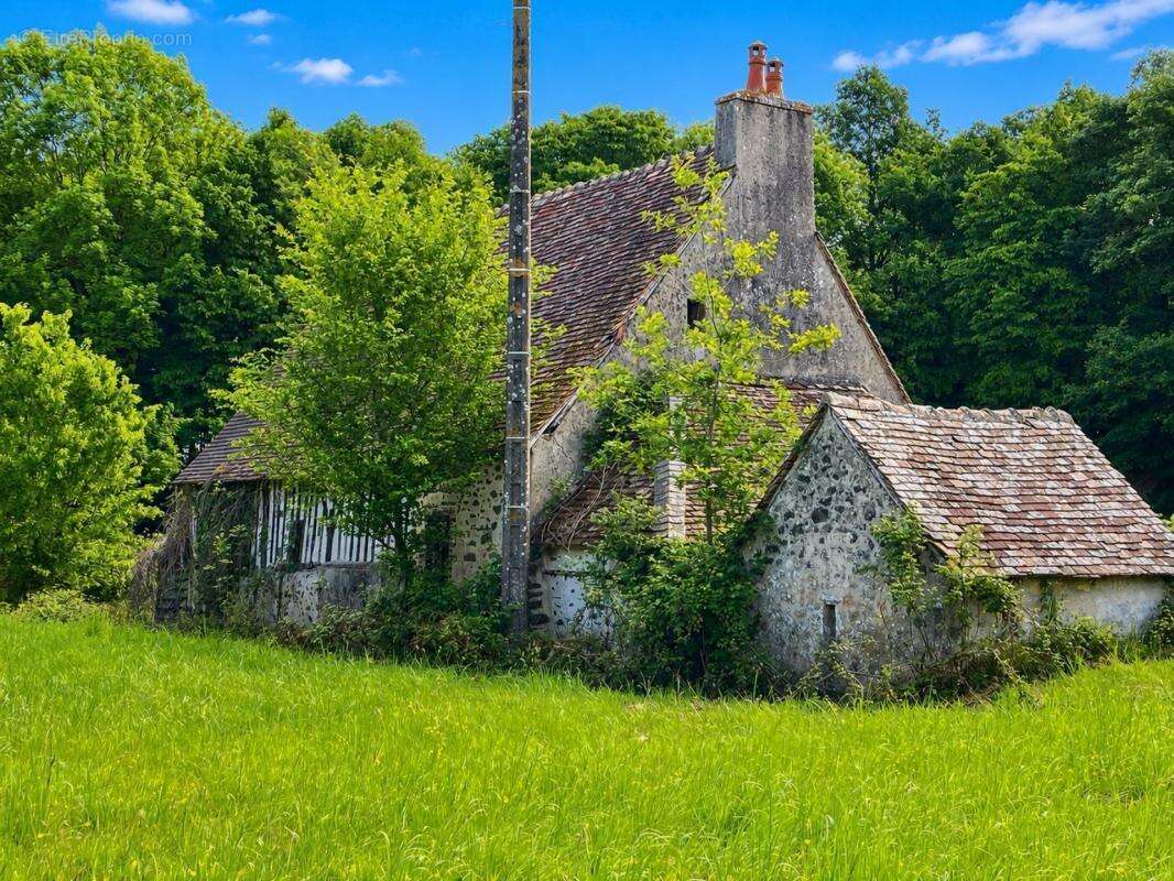 Maison du XVe siècle – 1 ha – Calme absolu – 10 min du Mans - photo 3