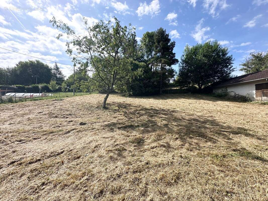 Terrain à VERJON