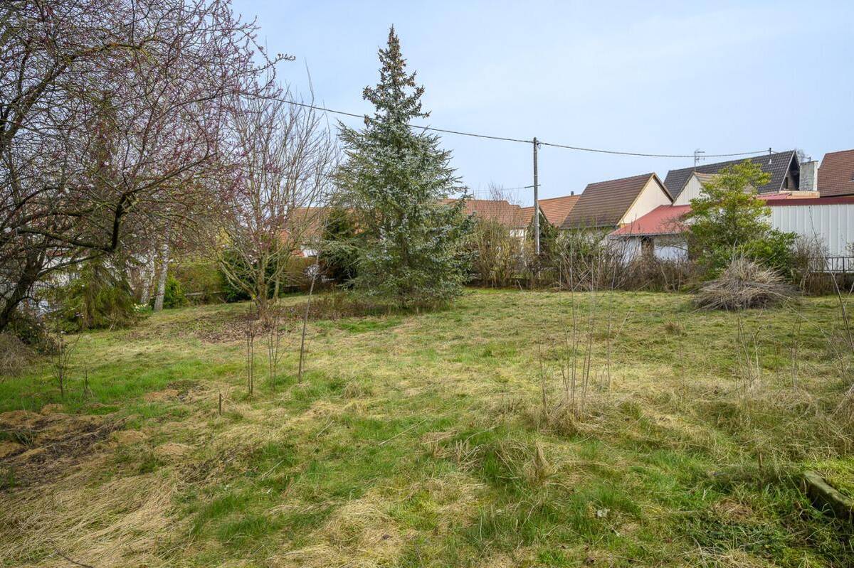 Terrain à WILLGOTTHEIM
