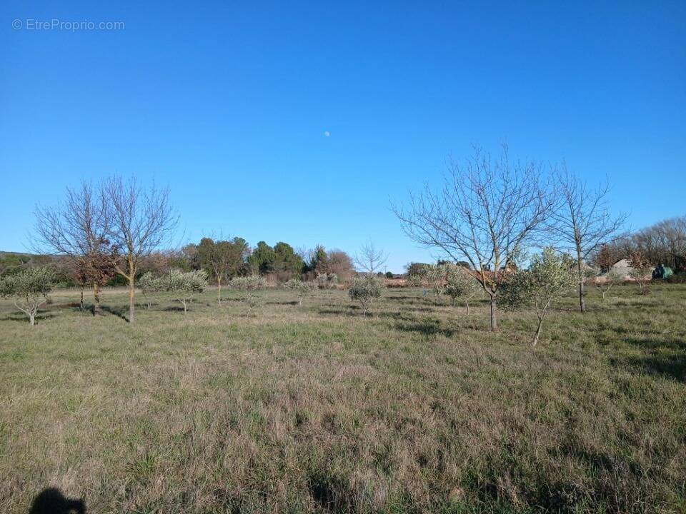 Terrain à BRIGNOLES