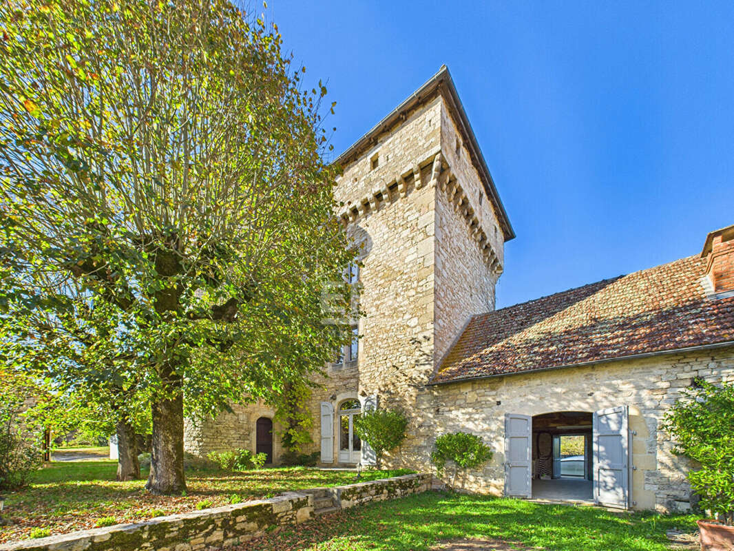 Demeure de Prestige 377m² à ambeyrac - photo 4