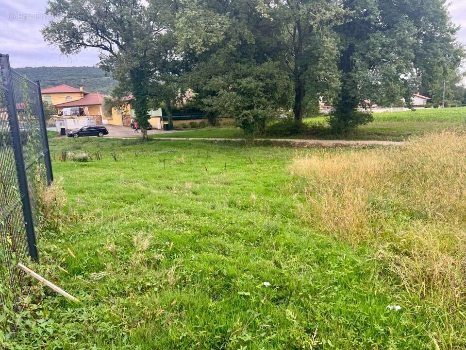Terrain à JASSERON