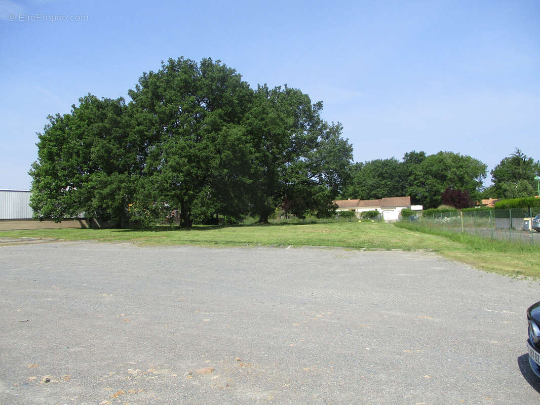 Commerce à FONTAINE-LE-COMTE