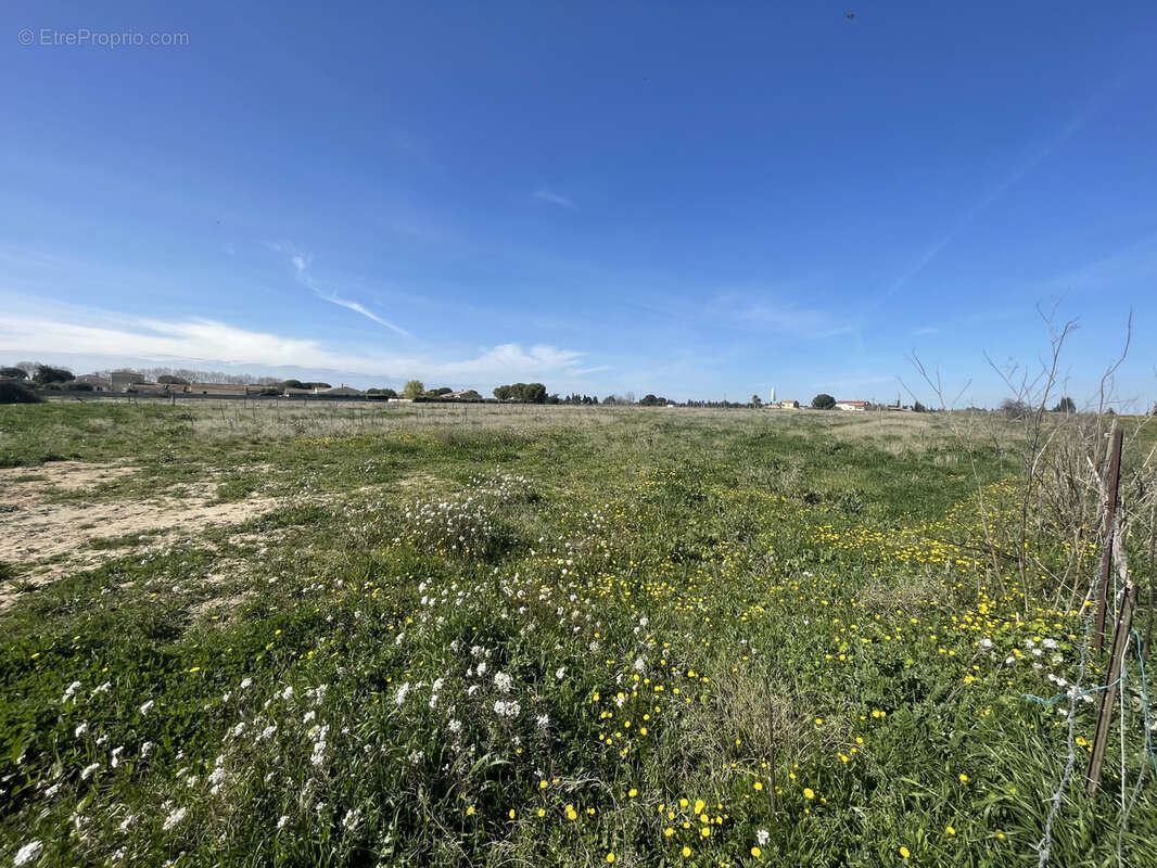 Terrain à NIMES