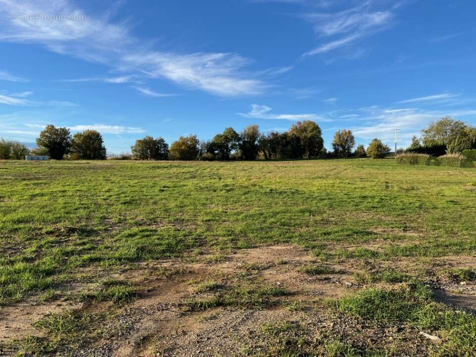 Terrain à AMBONIL