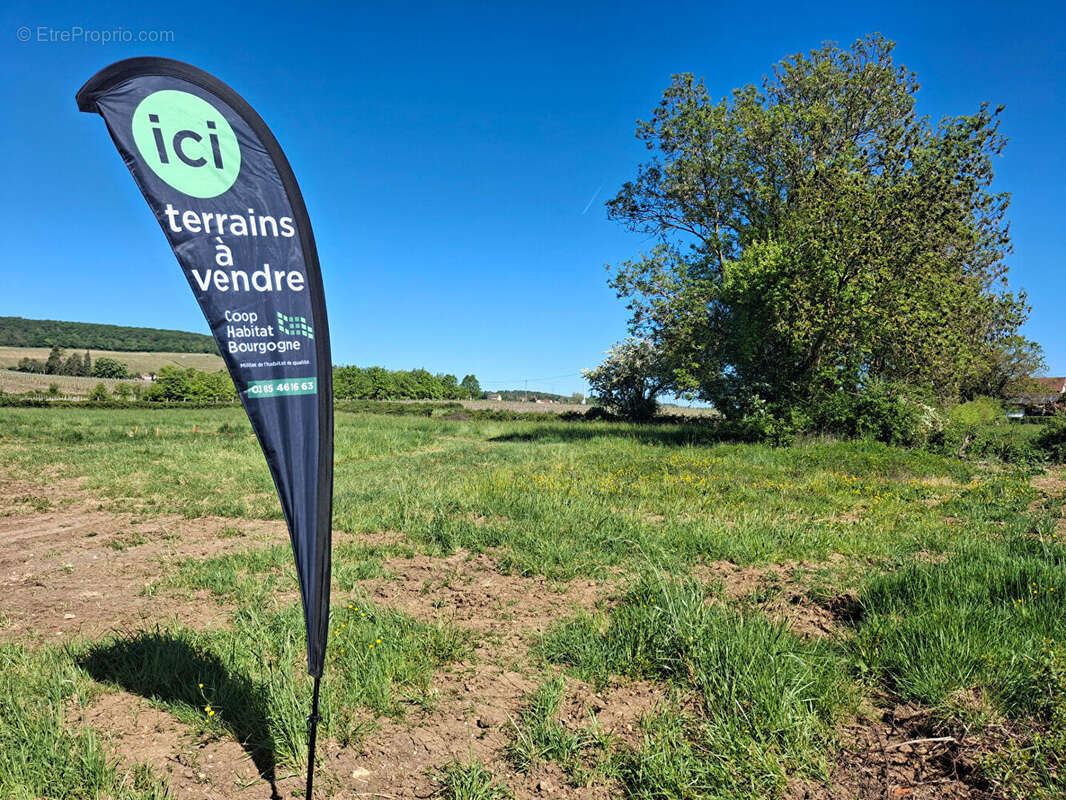 Terrains constructibles viabilisés de 595 m² à 947m² - photo 5