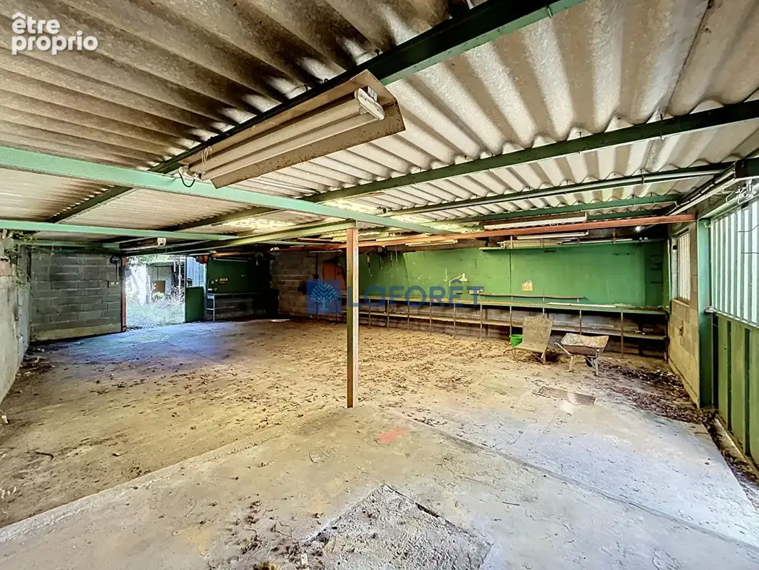 Maison Saintry Sur Seine 3 pièce(s) 60 m2 - photo 10