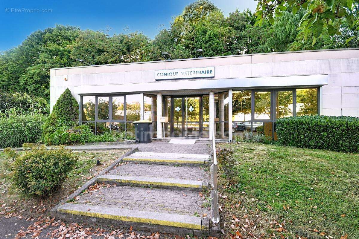 Clinique vétérinaire de 300 m² sur terrain de 1 194 m² – longwy - photo 2
