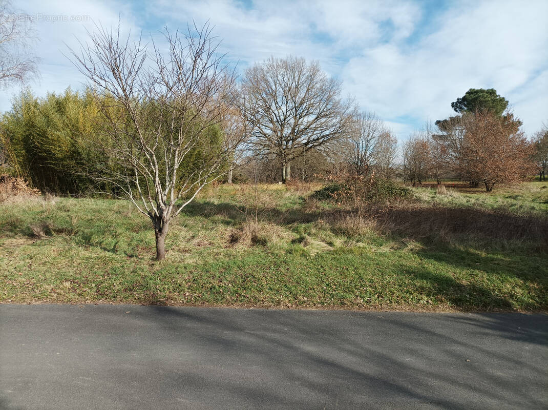 Terrain à MONSEMPRON-LIBOS