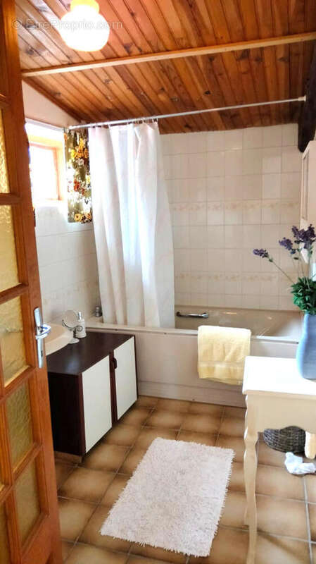 SDB - Maison à SALLES-DE-VILLEFAGNAN