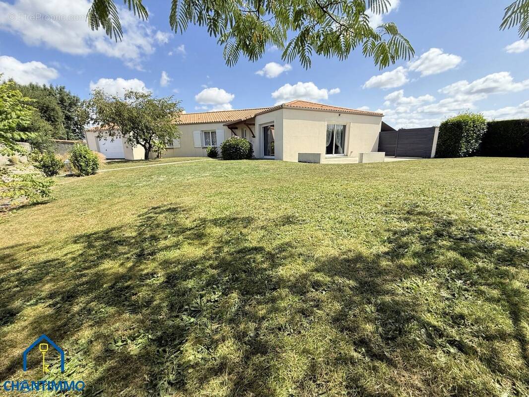 Maison à VIEILLEVIGNE