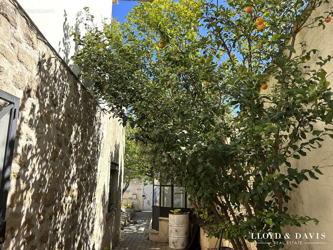 DES ARBRES FRUITIERS - Maison à FOS-SUR-MER