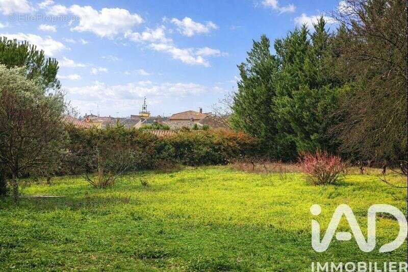 Photo 3 - Terrain à TAVERNES