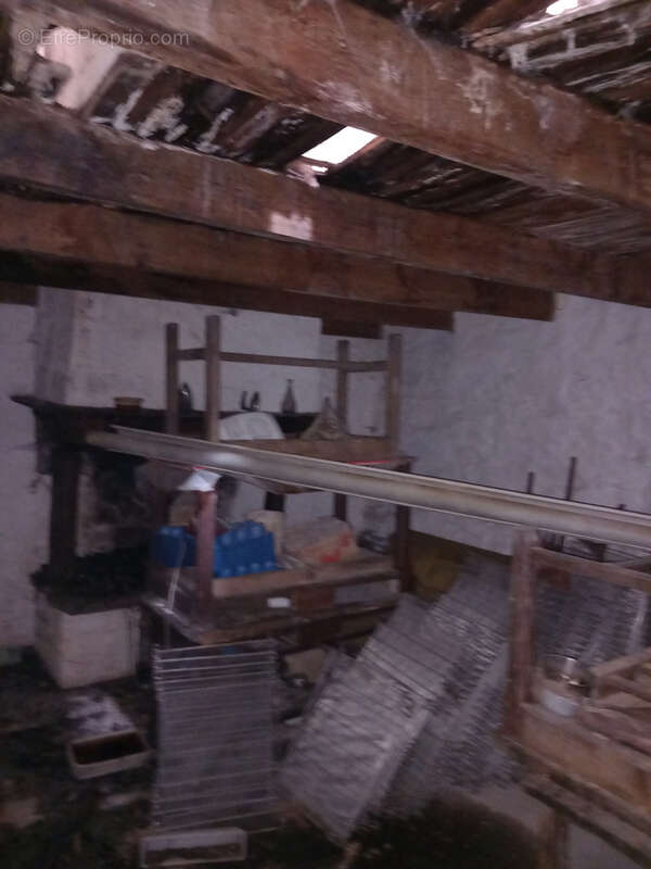 Unique ! ancienne Ferme à rénover sur 15Ha de patures et bois . - photo 33