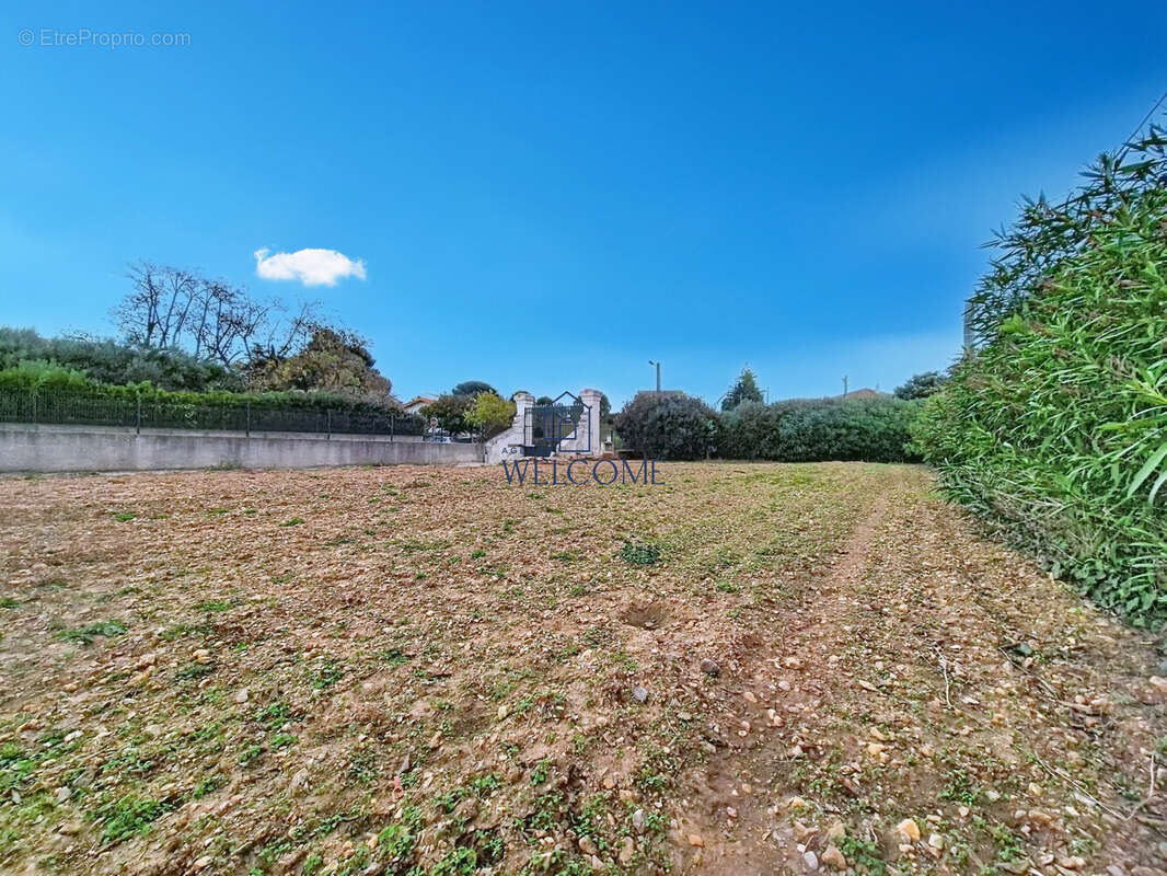 Terrain à SAINT-ANDRE-DE-SANGONIS