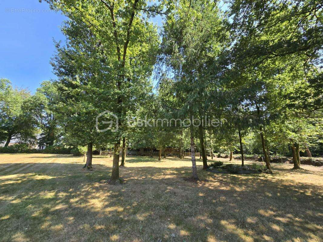 Maison familiale - vie de plain-pied - 4 chambres - spa - terrain constructible - photo 17