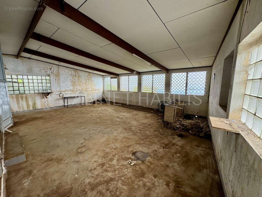 Commerce à SAINT-LEU