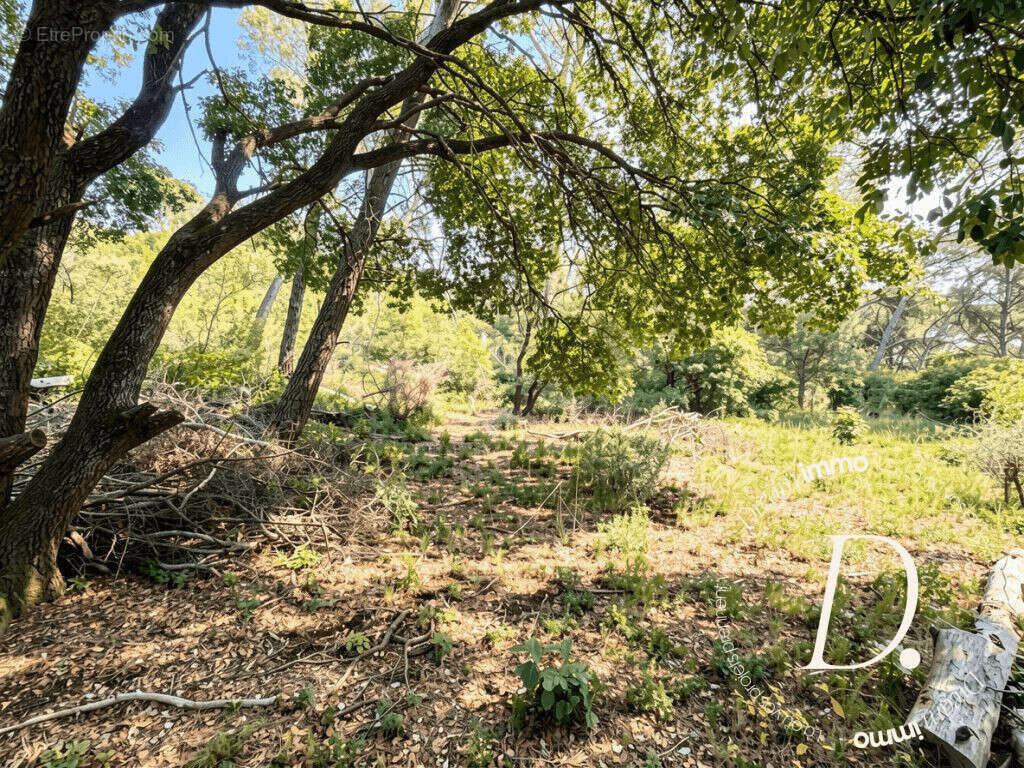 Terrain à SAINT-GILLES