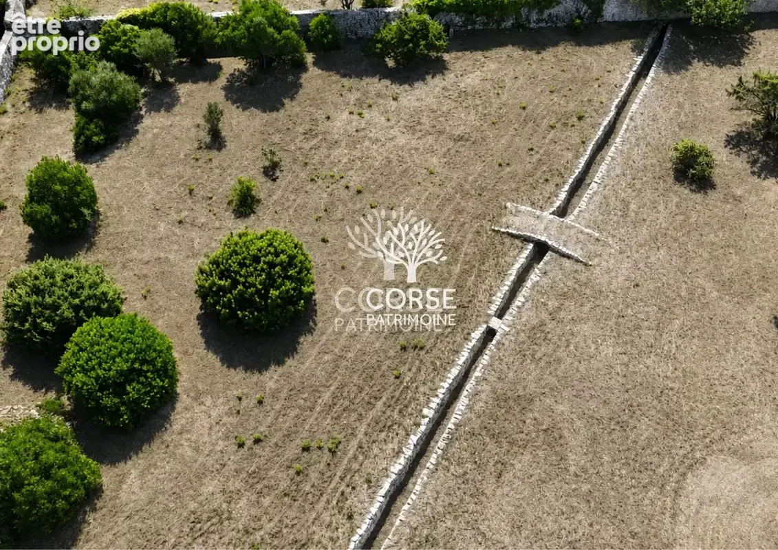 Maison individuelle dans la campagne Bonifacienne sur parcelle constructible - photo 3