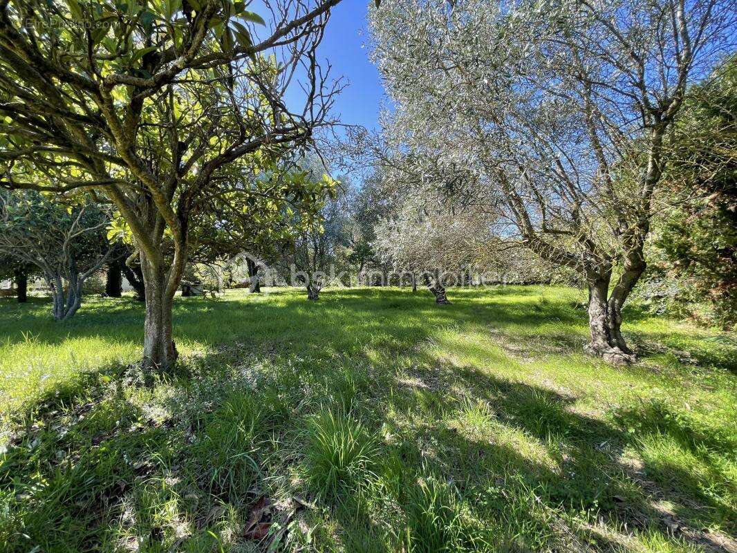 Maison à BAGNOLS-SUR-CEZE