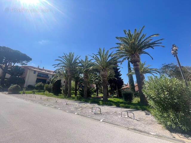 Appartement à COLLIOURE