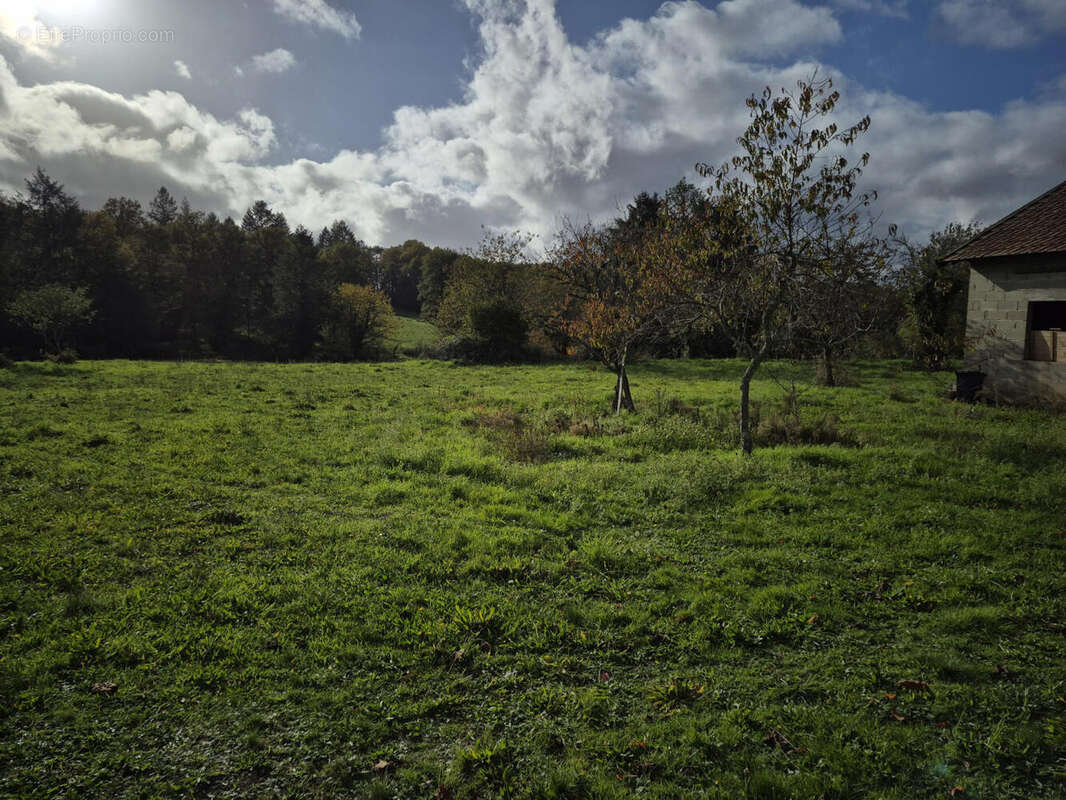 20251103_151327 - Maison à ABJAT-SUR-BANDIAT