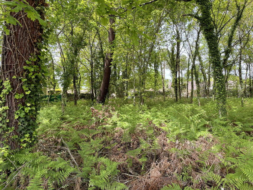 Terrain à bâtir a vendre, hors lotissement, de 572 m2 - arès - photo 2