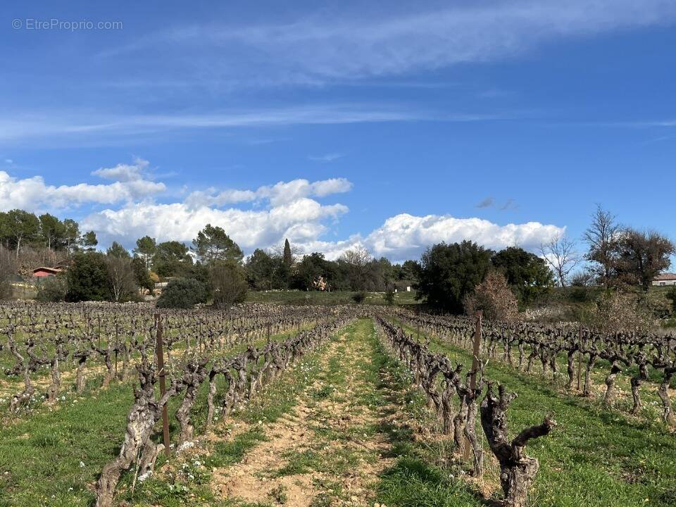 Terrain à CARCES