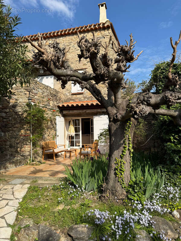 Maison à VILLELONGUE-DELS-MONTS