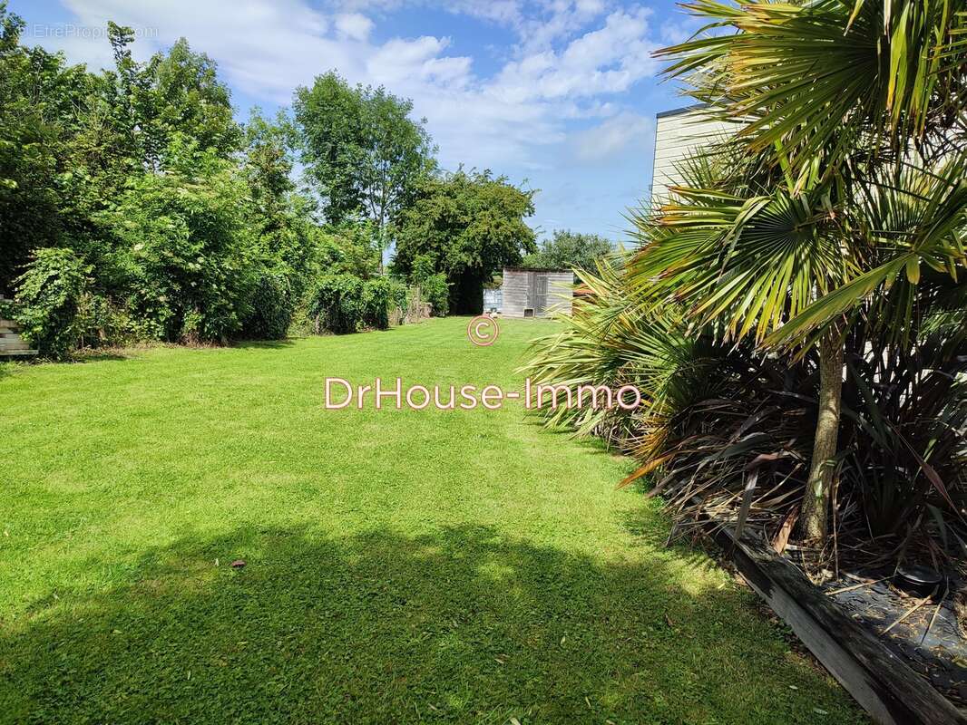 Maison à RUCQUEVILLE