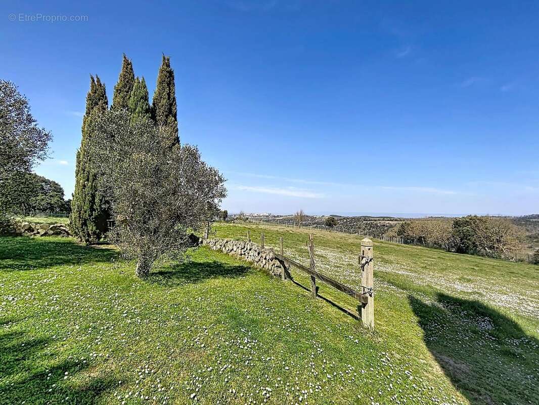 Photo 3 - Maison à MONTREAL