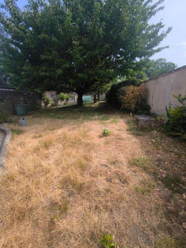 Maison avec commerce 300m² - photo 11