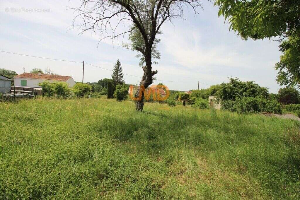 Maison de plain pied Bussac sur Charente - photo 25