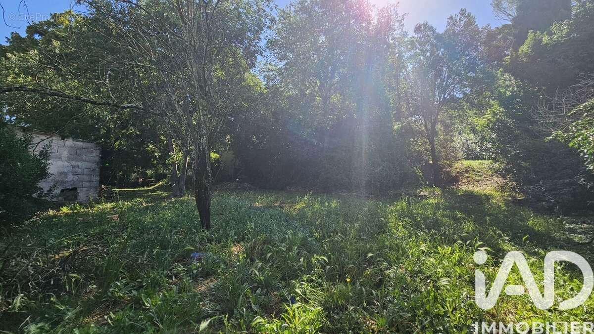Photo 3 - Terrain à BAGNOLS-SUR-CEZE