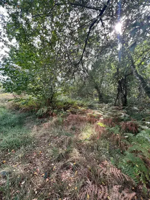 À vendre – argol – finistère – presqu’île de crozon-exceptionnel terrain de loisirs de 40 000 m² - photo 19