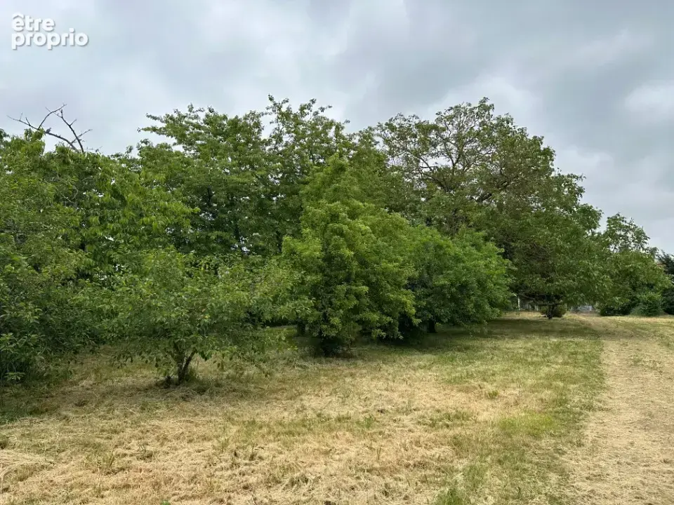 Terrain à SORIGNY