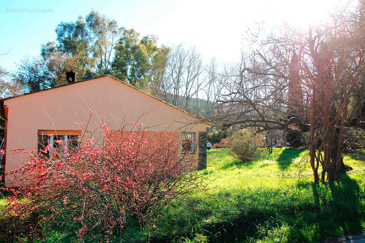 Maison à DRAGUIGNAN