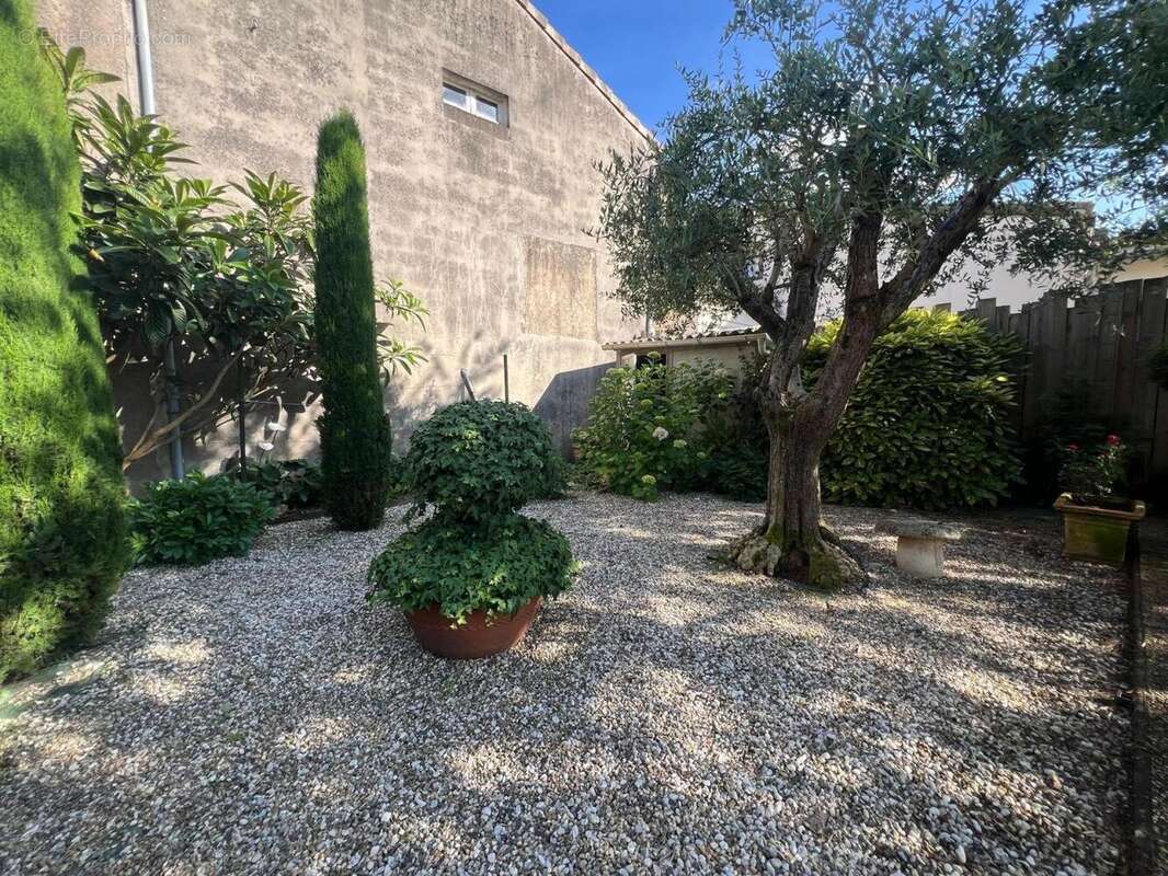 Photo 2 - Maison à TONNEINS