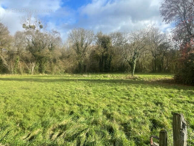 Maison à CONDE-SUR-HUISNE