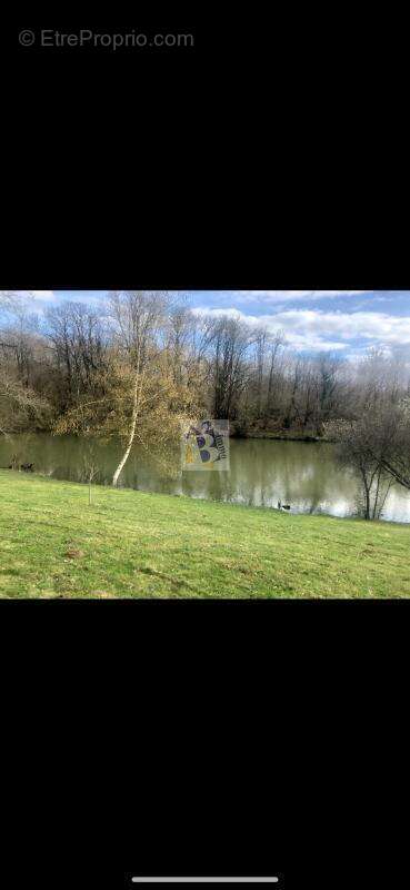 Terrain à DUSSAC