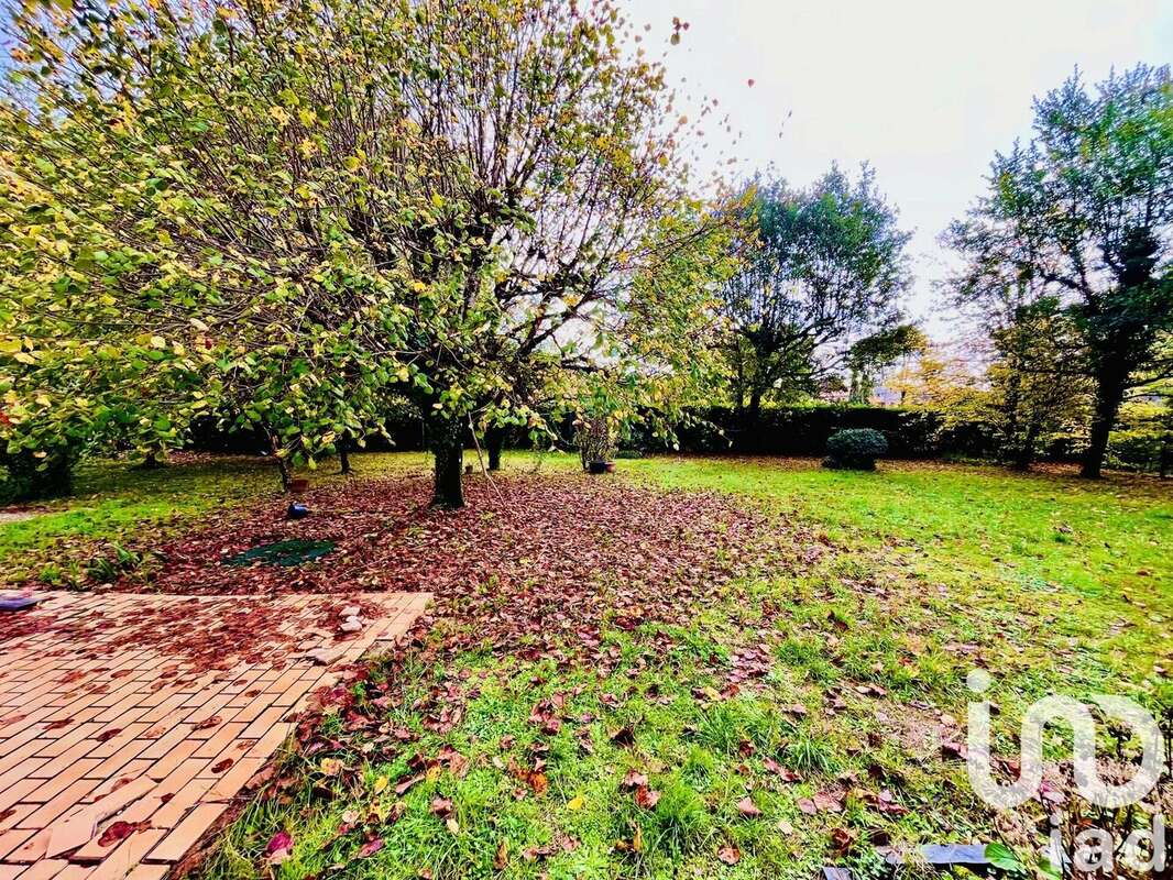 Photo 3 - Maison à ANTONNE-ET-TRIGONANT