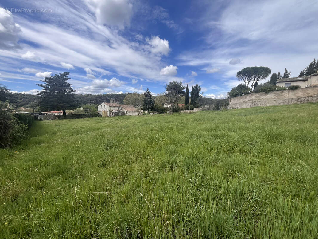Bédarieux, à vendre terrain constructible de 8160 m2 avec une bâtisse existante à rénover entièremment - photo 3