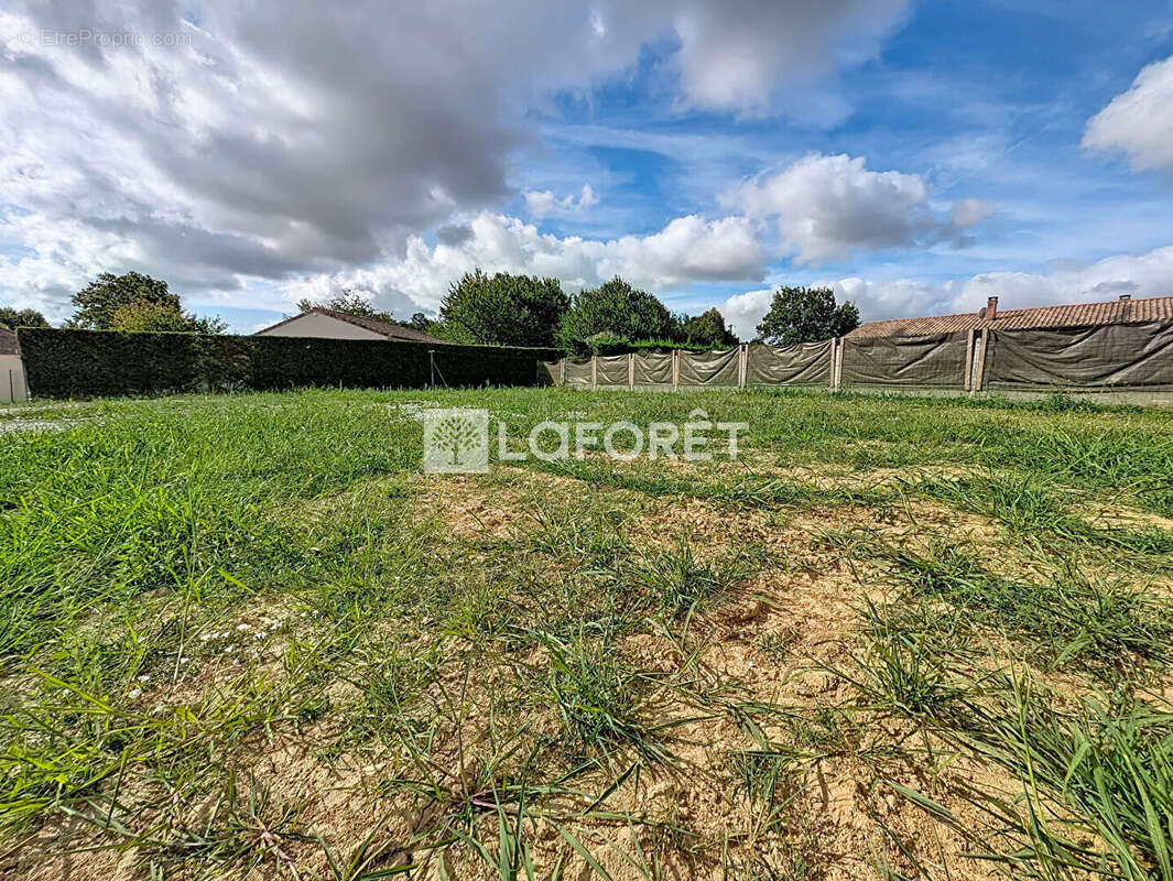 Terrain La Magdelaine Sur Tarn 550 m2 - photo 2